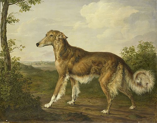 Siberian Greyhound, 1825, Jan Dasveldt