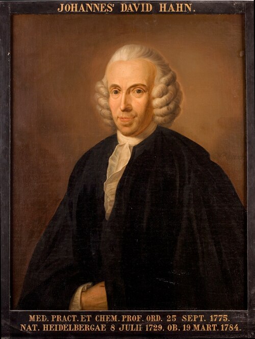 Portret van Johannes David Hahn, hoogleraar Geneeskunde te Leiden, 1701, Nicolaas Reyers