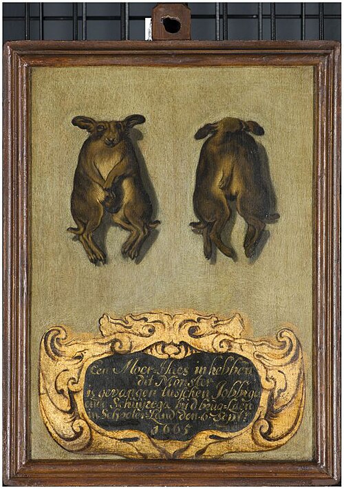 Twee haasjes, die met borst tot aan middenrif aan elkaar zijn vergroeid, 1665, Nicolaas Wieringa