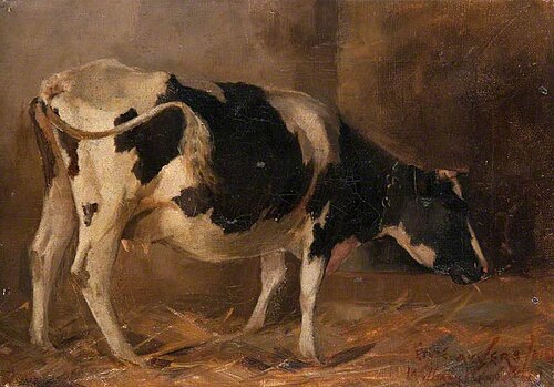 Study of a Cow, , William Kennedy