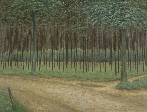 Chemin forestier, , Albijn Van den Abeele