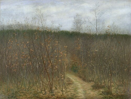 Fourrés à Laethem-Saint-Martin, 1898, Albijn Van den Abeele