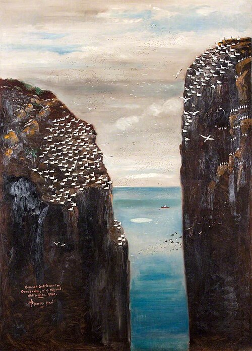 Gannet Settlement on Grassholm, West of Milford, 1890, T. H. Thomas