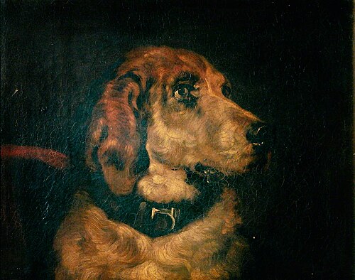 Head of a Bloodhound (after Edwin Henry Landseer), , Henry Ladbrooke