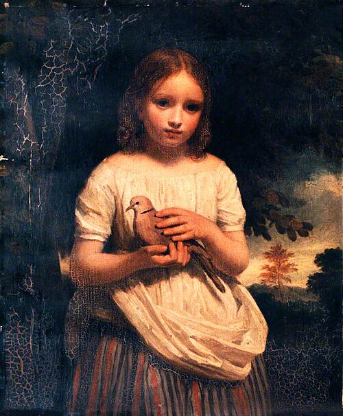 The Pet Dove, , John Graham Gilbert
