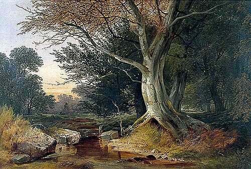 Beech Tree by a Rocky Stream, 1869, John Burney Ladbrooke