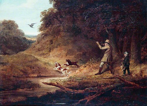 Snipe Shooting, , Richard Jones