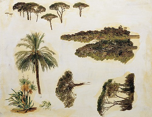 Tree studies from Rome), 1846, Ferdinand Georg Waldmüller