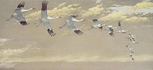 Thirteen Whooping Cranes in Flight, 1917, Louis Agassiz Fuertes