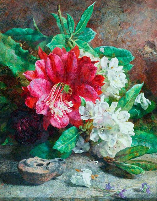 Group of Cacti, 1868, Annie Feray Mutrie