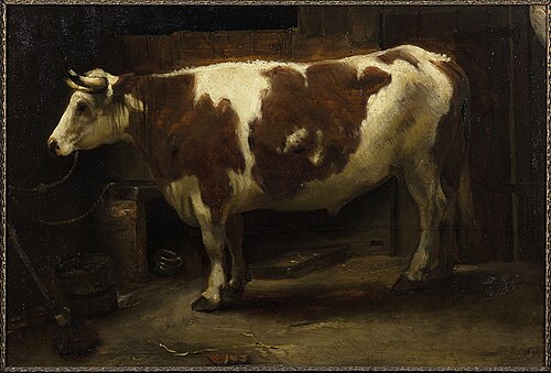 Brown and White Bull, 1656, Jacobus Levecq