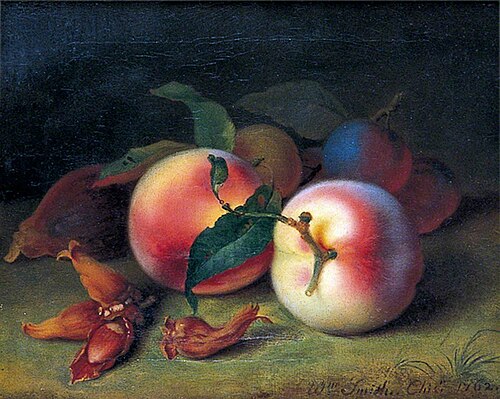 Still Life of Peaches, Plums and Cobnuts, 1762, William Smith