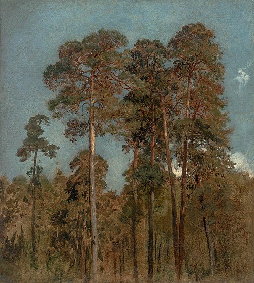 Pine Trees, 1868, Maksymilian Gierymski