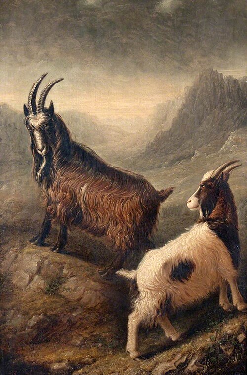 Two Welsh Goats, 1835, William Shiels