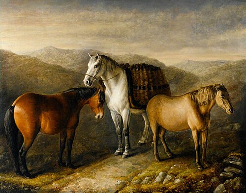 West Highland Ponies, , William Shiels