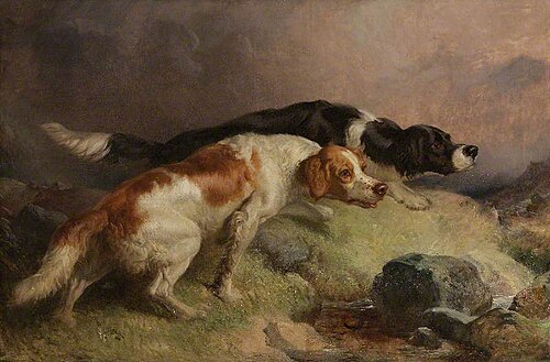 Setters on the Moor, 1848, Thomas Woodward