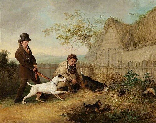 Rat Catching, , Thomas Woodward