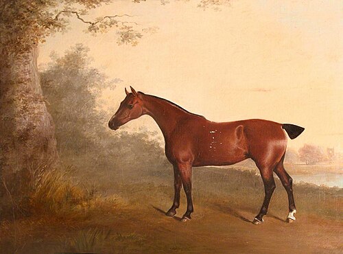 A Chestnut Hunter, known as 'The Old Chestnut', with Chastleton House in the Distance, 1829, Thomas Woodward