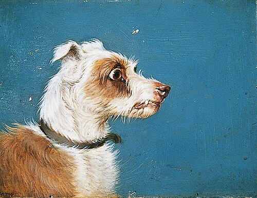 Head of a Terrier, , Martin Ward