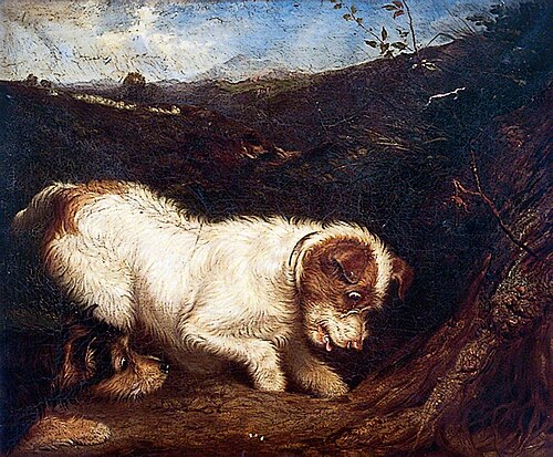 Two Fox Terriers in a Landscape, , Martin Ward