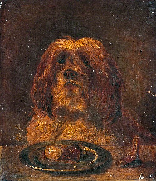 Head of a Terrier, , Martin Ward