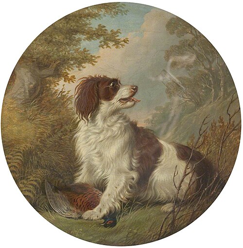 Dog and Game Bird, , Martin Ward