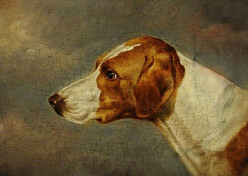 Dog's Head, , Martin Ward