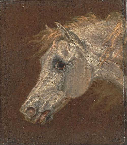 Head of a Grey Arabian Horse, 1820, Martin Ward
