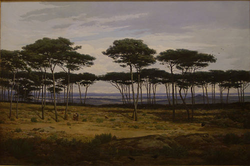 Les Pins de Plédéliac, 1873, Alexandre Ségé