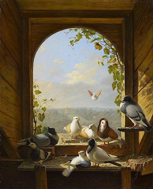 Pigeons, 1841, Henry Voordecker