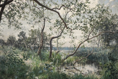 Water Vegetation. Motif from Östergötland, 1885, Johan Krouthén