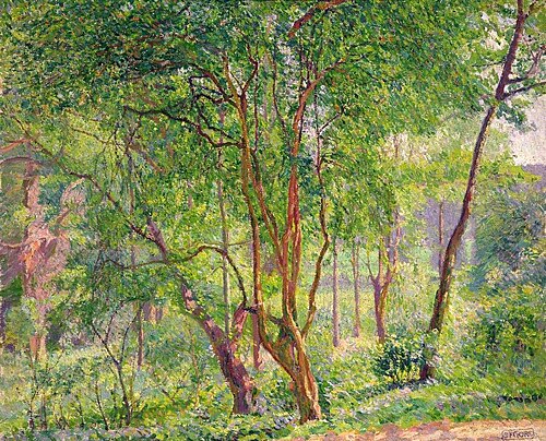 Panshanger Park, Hertfordshire, 1909, Spencer Frederick Gore