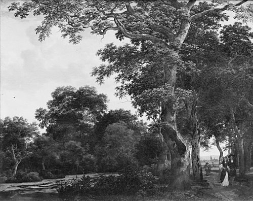 The Oak Avenue, 1649, Joris van der Haagen