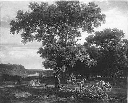 Die große Eiche, 1642, Joris van der Haagen
