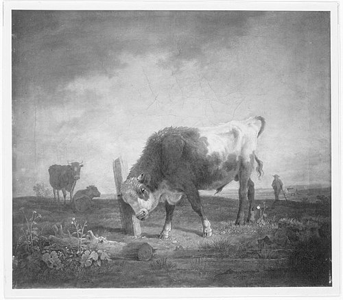Junger Stier, sich an einem Pfosten reibend, 1810, Max Josef Wagenbauer