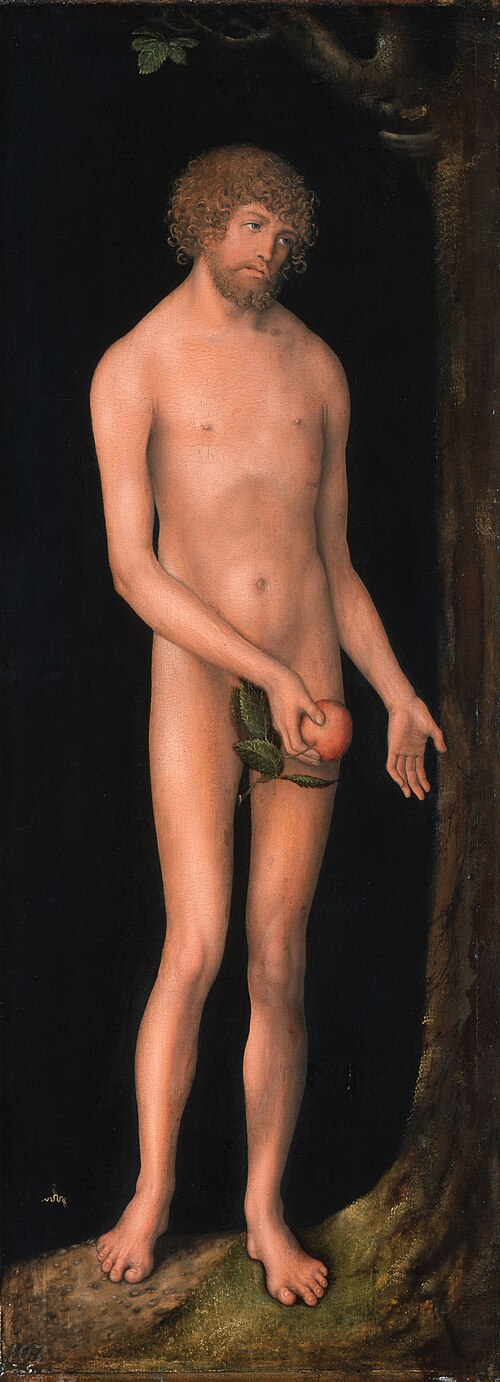 Adam, 1518, Lucas Cranach l'Ancien