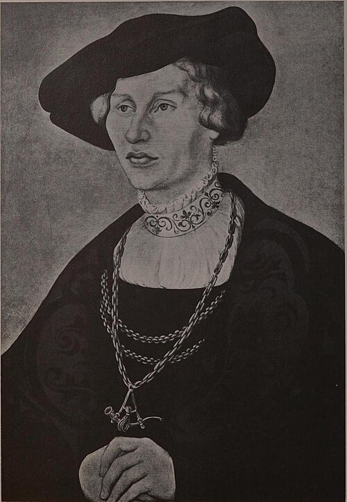 Portrait of a Clean-shaven Young Man, 1529, Lucas Cranach l'Ancien