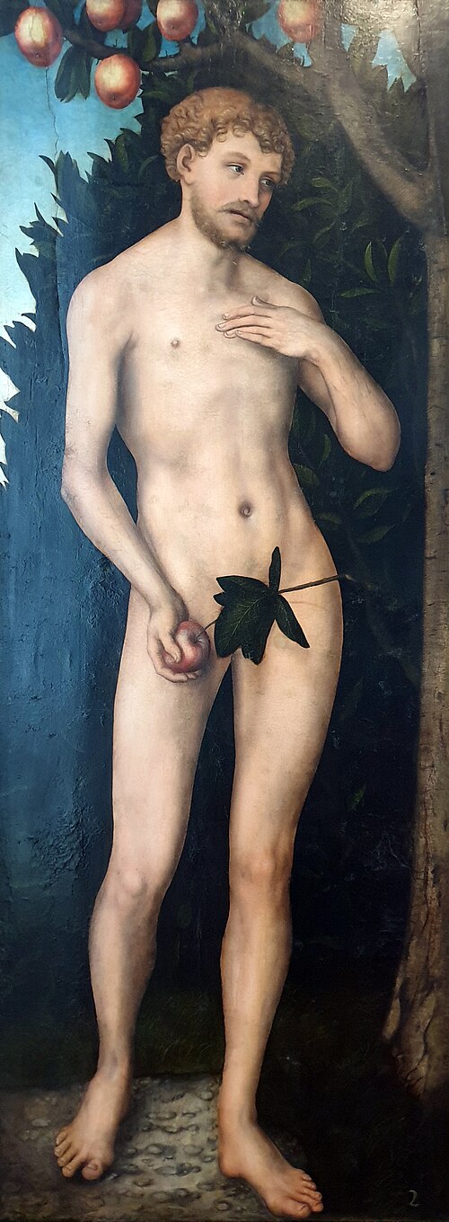 Adam, 1537, Lucas Cranach l'Ancien