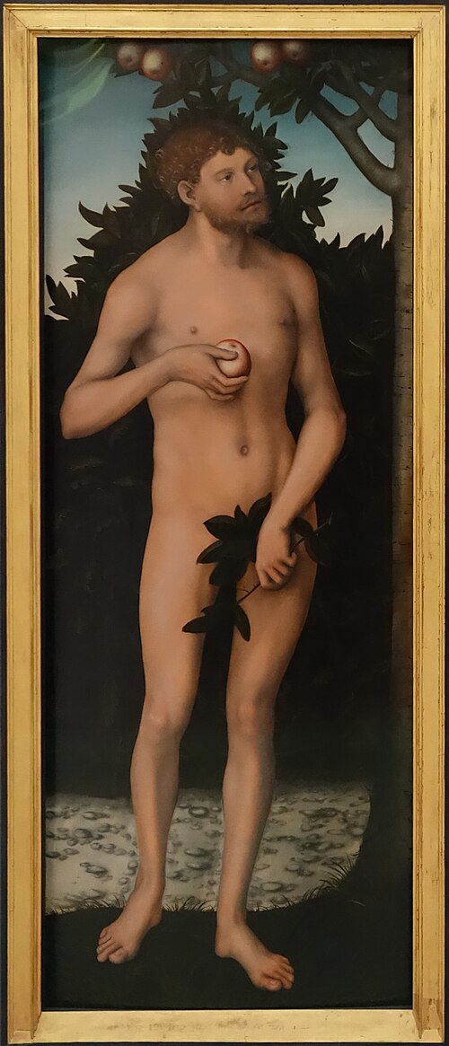 Adam, , Lucas Cranach the Elder