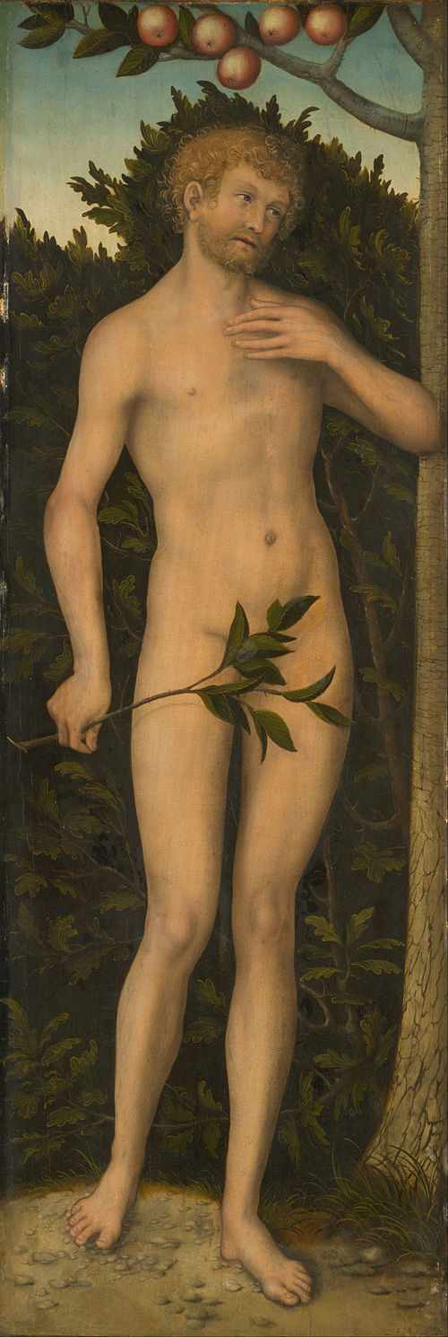 Adam, 1533, Lucas Cranach l'Ancien