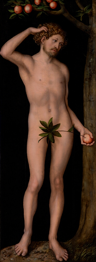 Adam, 1530, Lucas Cranach l'Ancien