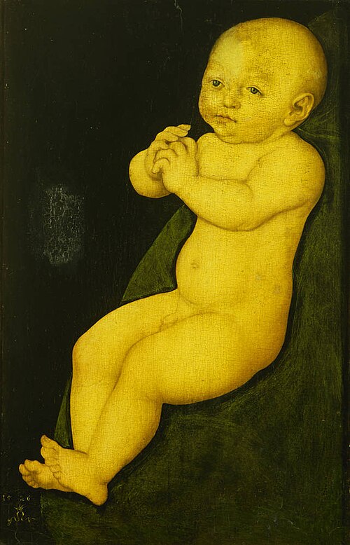 Portrait of an infant, 1526, Lucas Cranach l'Ancien