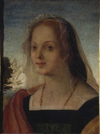 Portrait of a Young Woman (Rosso Fiorentino), 1510, Giovanni Larciani