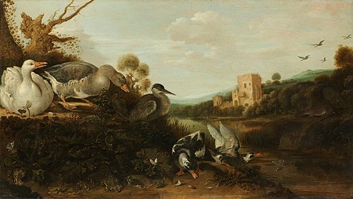 Waterfowl, 1652, Gijsbert d'Hondecoeter