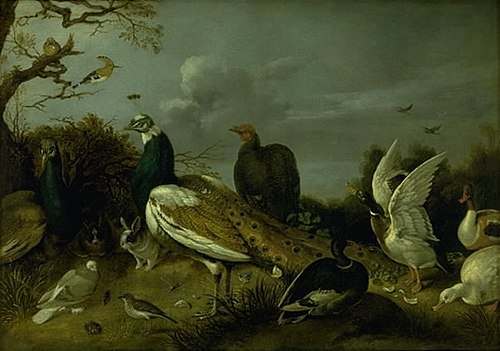 Peacocks, Ducks and other Animals, 1631, Gijsbert d'Hondecoeter