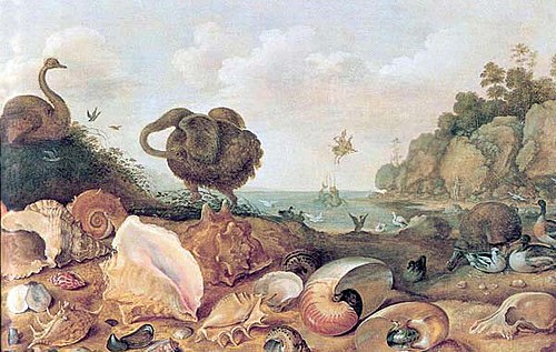 Perseus and Andromeda with a Dodo and seashells., 1627, Gillis d'Hondecoeter