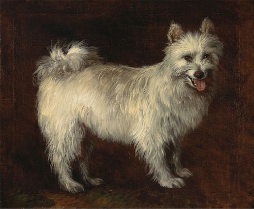 Spitz Dog, 1765, Thomas Gainsborough