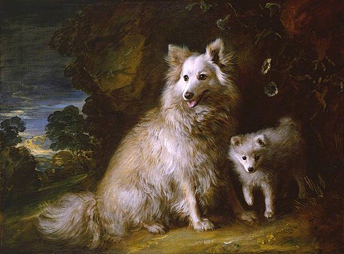 Pomeranian Bitch and Puppy, 1777, Thomas Gainsborough