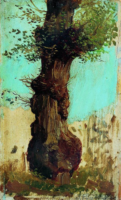Tronc d'arbre, 1888, Joan Figueras i Soler