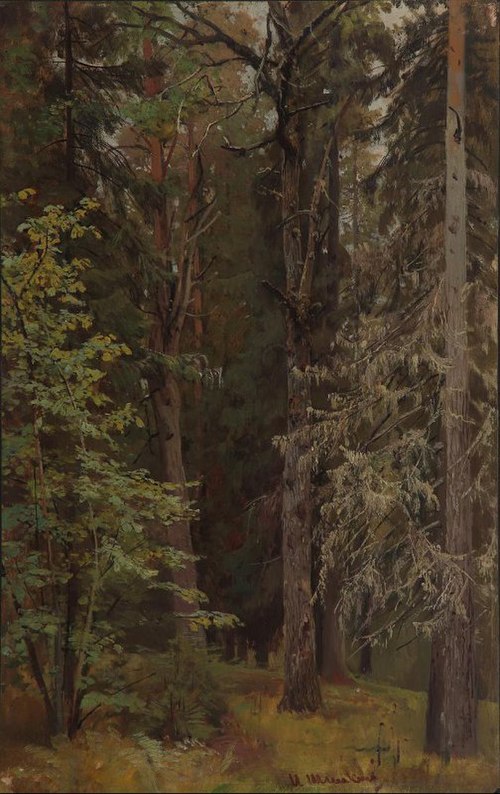 Mixed forest, 1900, Ivan Chichkine